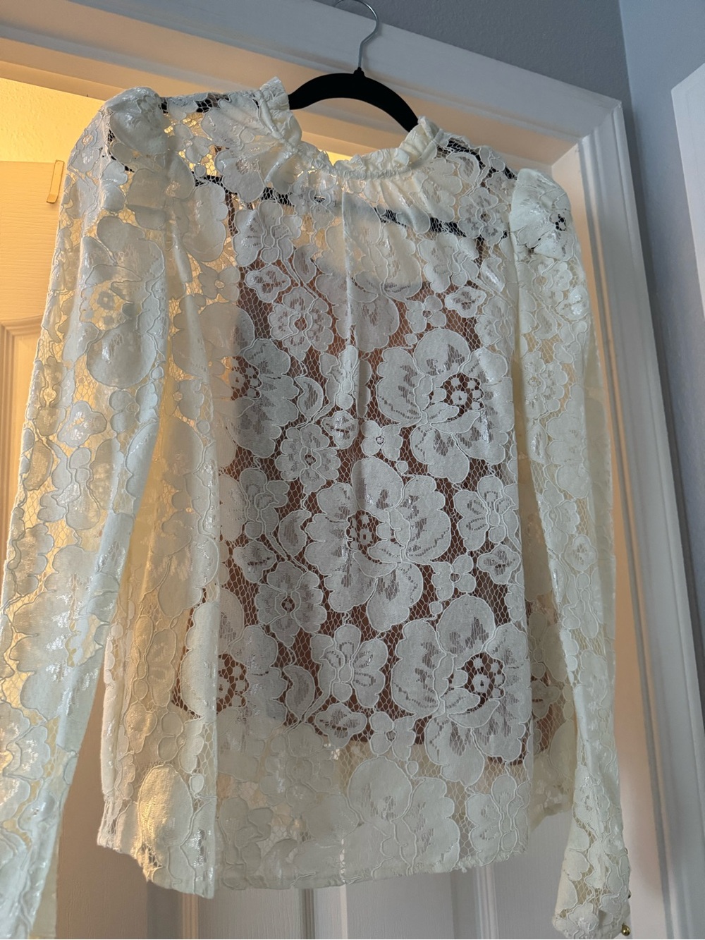 WAYF Puff Long-Sleeve lace Blouse